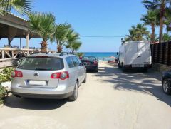 la umbra palmierului