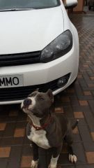 64272 1499482970325991 1210093316953988783 N