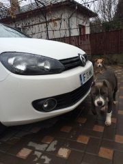 10612577 1499483123659309 8434255116109428258 N