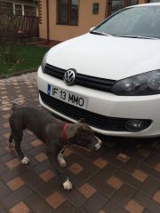 10806399 1499483050325983 6817517395053945260 N