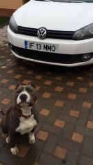 1688851 1499483010325987 4451404327420837562 N