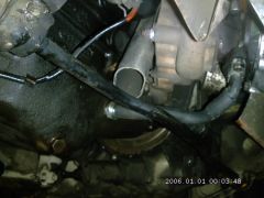 458867 10150825039756807 1575334703 O