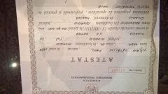 WP 20150217 07 44 24 Raw