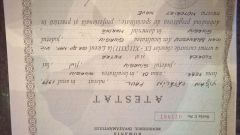 WP 20150217 07 44 14 Raw