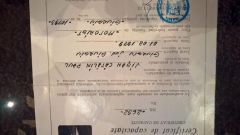 WP 20150217 07 45 00 Raw