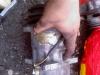 post-1474-1262184754_thumb.jpg