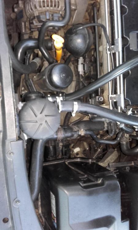 20160216_074345.thumb.jpg.afb1300294b74c