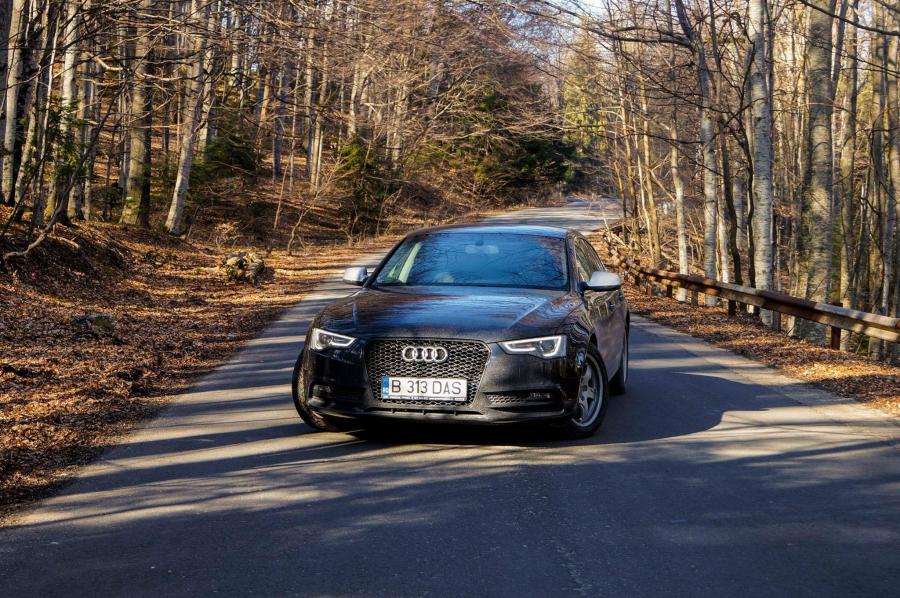 12887500_10204365735222057_100542865_o.t