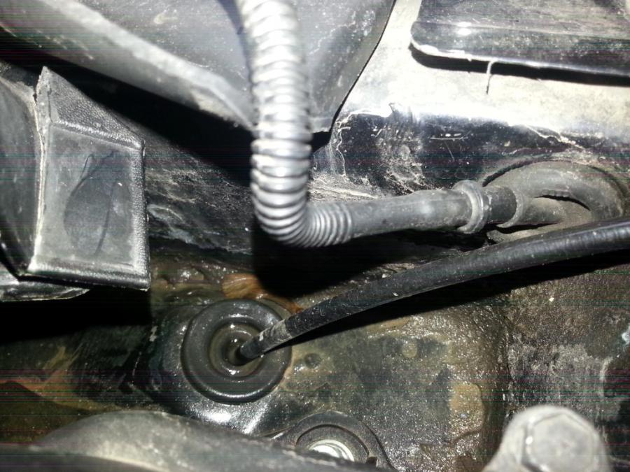 20160302_110913 (Medium).jpg