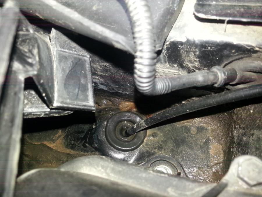 20160302_110918 (Medium).jpg