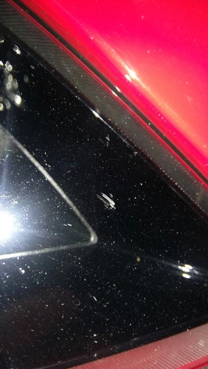 2016-03-15 10.30.54.jpg