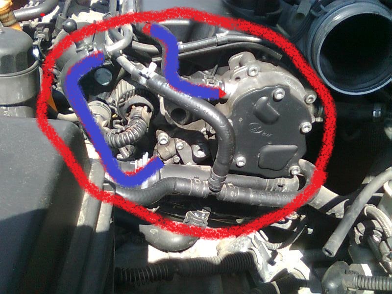 56ee6d1a092af_Imagine0130editat.jpg.e214