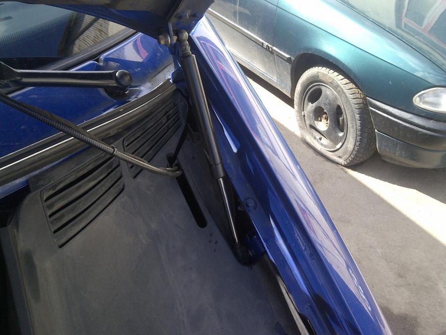 IMG-20160325-04481 (2).jpg