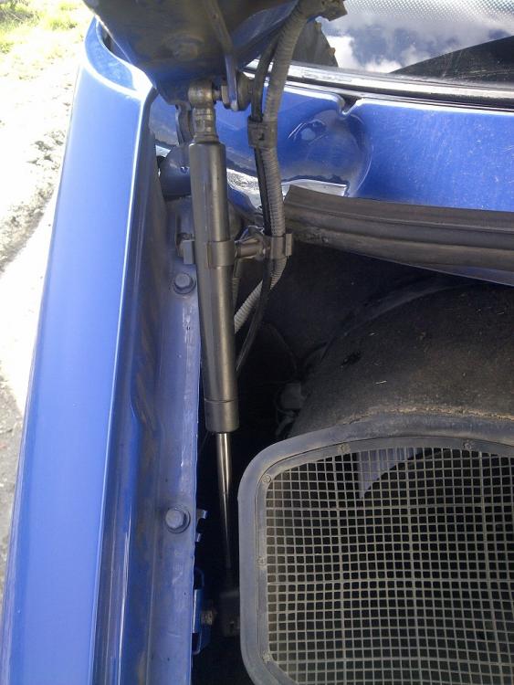 IMG-20160325-04479 (2).jpg