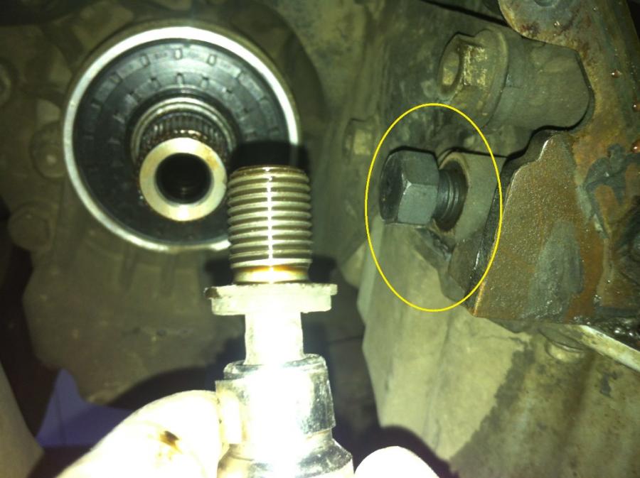 3 cala vibrochen T10340.JPG