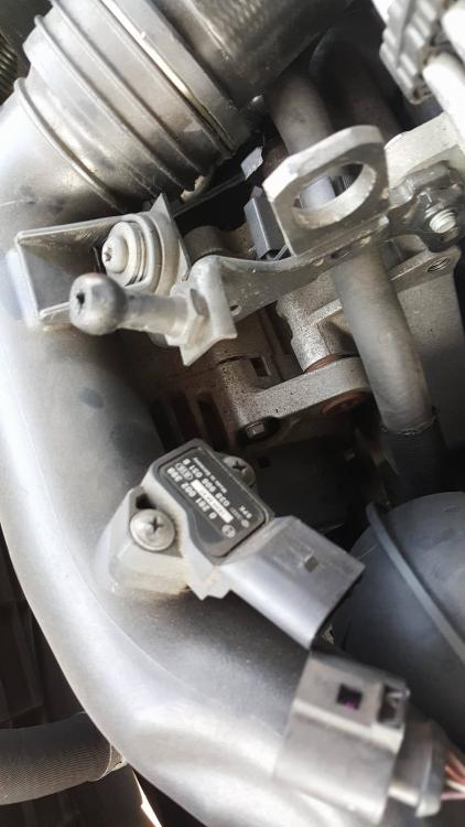 13271745_10209797012189157_1072145753_o (2).jpg