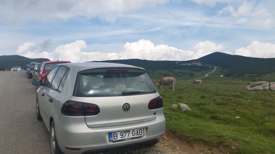 2016-07-06 14.50.17.jpg