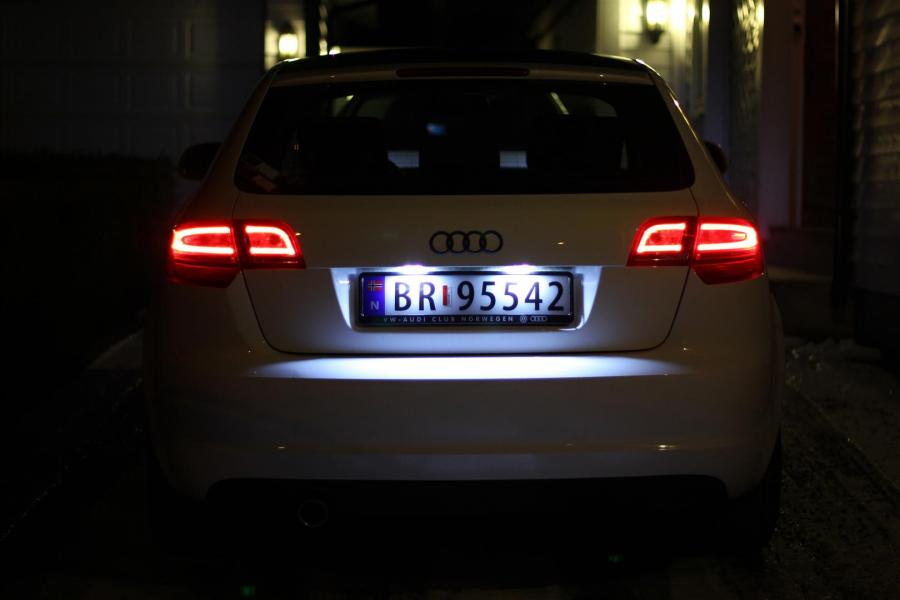 IMG_3656 (Large).JPG