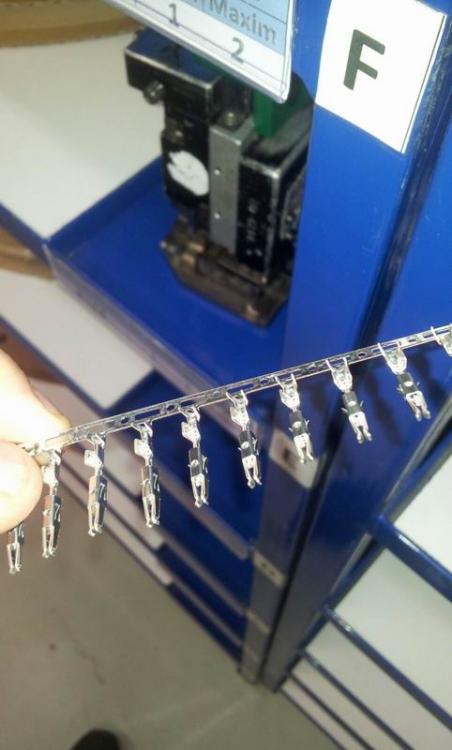 Resize of IMG-20160711-WA0002.jpg