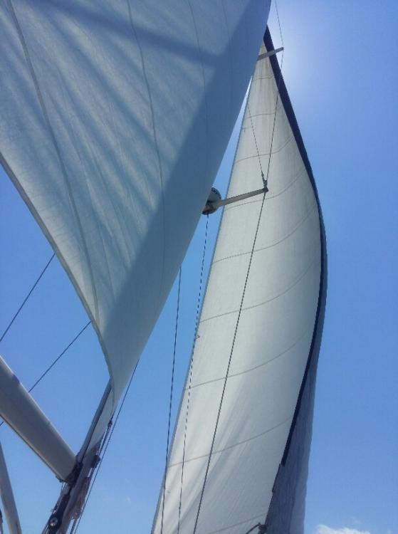 2016-07-18 01.15.57.jpg