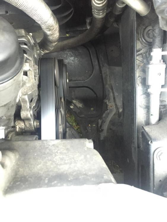 13988094_521387518065175_5907721469029834136_o (1).jpg