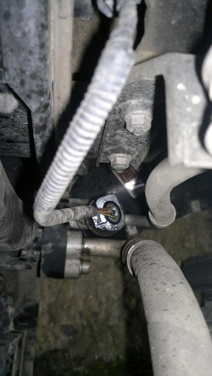 2012-10-30-274 (Large).jpg