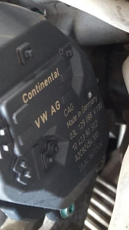 2 - galeria noua (2).jpg