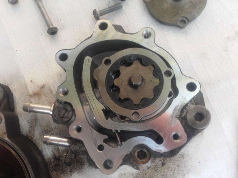 20161002_124011 (FILEminimizer).jpg