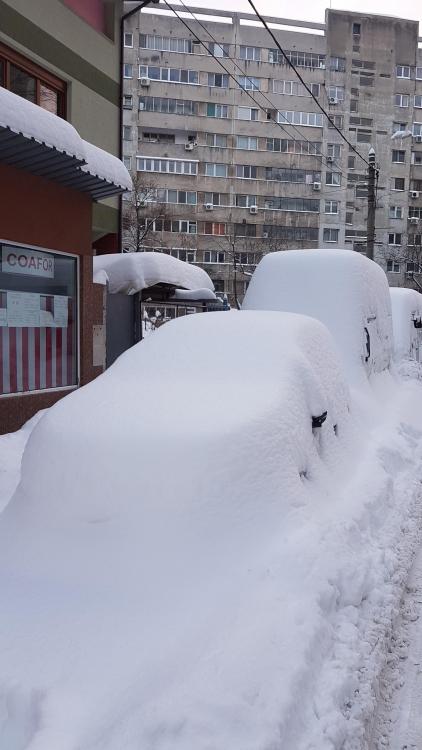 2017-01-11 16.41.38.jpg