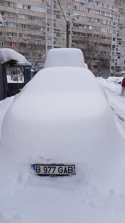 2017-01-11 16.42.00.jpg