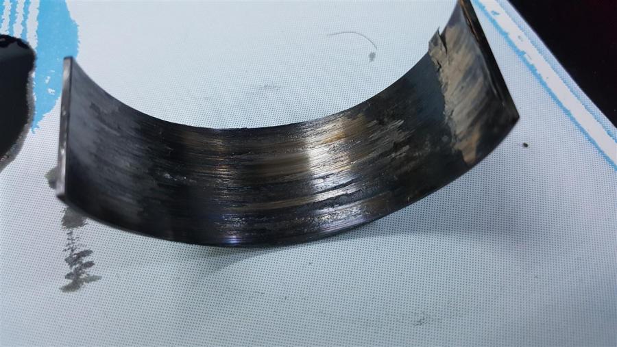 WhatsApp Image 2017-01-30 at 07.55.45.jpeg