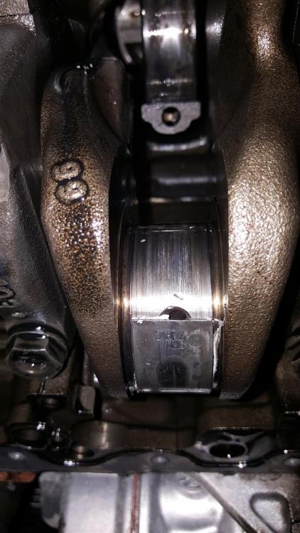 WhatsApp Image 2017-01-30 at 07.55.47.jpeg