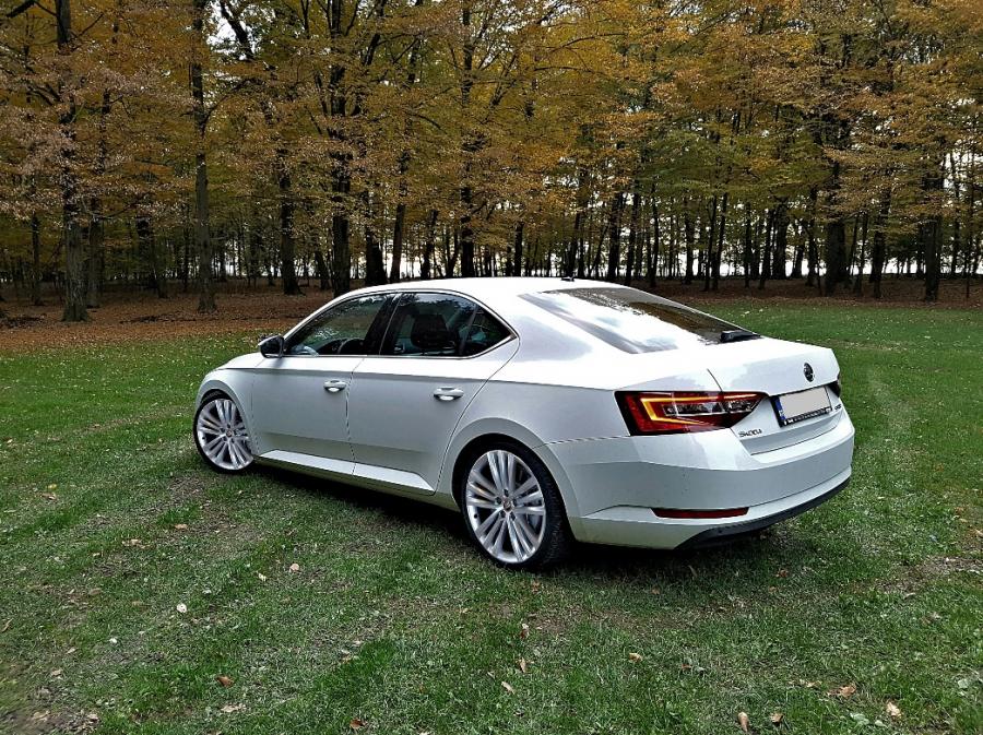 20161029_172537_resized copy copy.jpg