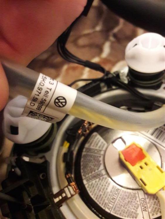 20170219_111039 (Medium).jpg