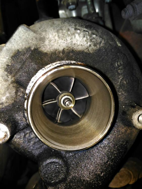 2017-05-01 15.32.09.jpg