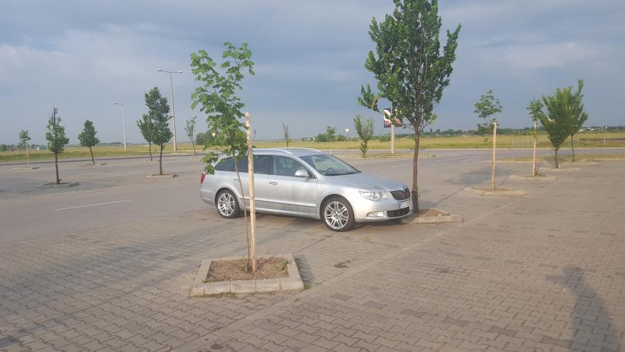 20170601_062903 (1).jpg