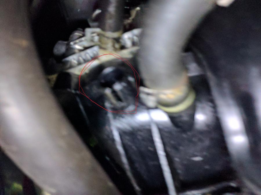 2017-07-10 15.07.47.jpg