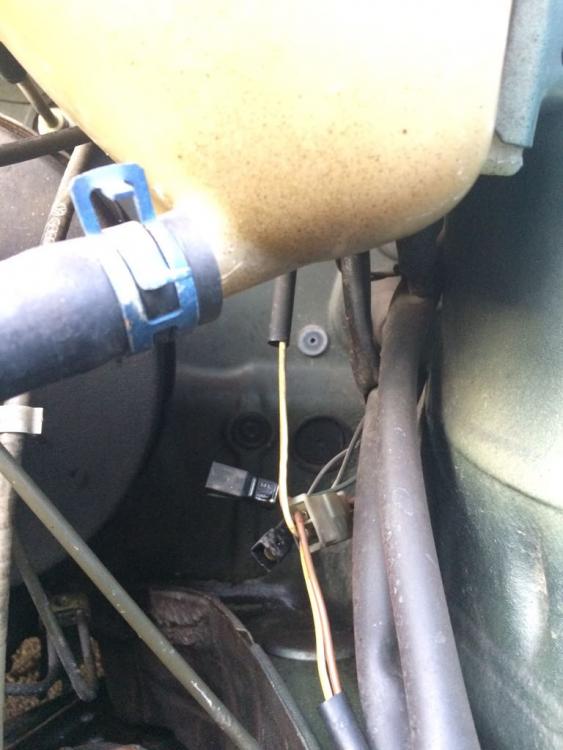 WhatsApp Image 2017-08-19 at 14.24.57.jpeg