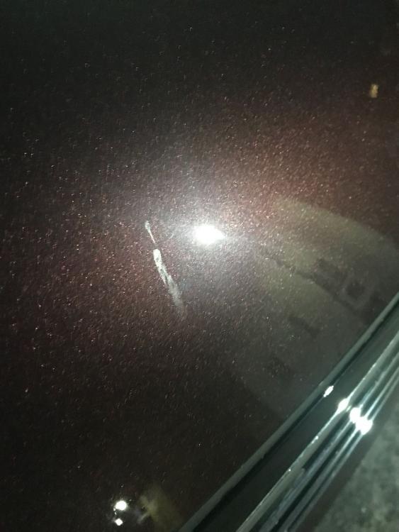 WhatsApp Image 2017-11-15 at 20.05.16.jpeg