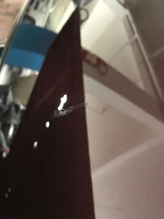 WhatsApp Image 2017-11-16 at 10.54.00.jpeg