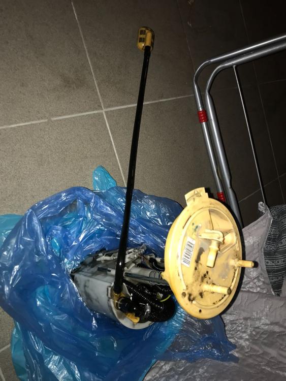 WhatsApp Image 2018-01-31 at 20.20.35.jpeg