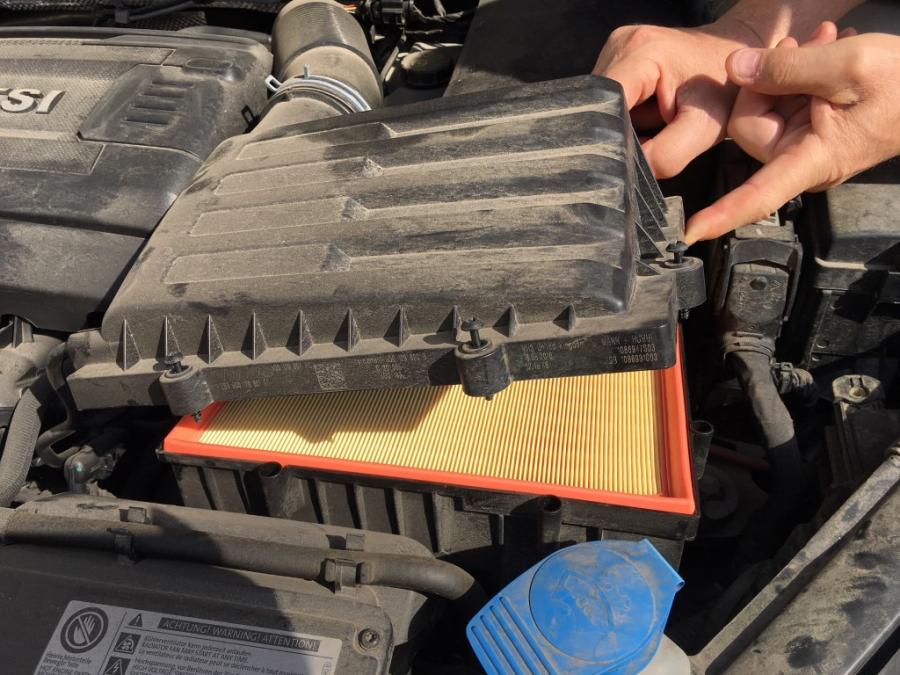 IMG_0861 (Medium).JPG