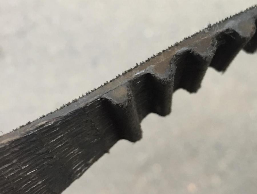 IMG_7777 (1280x966).jpg