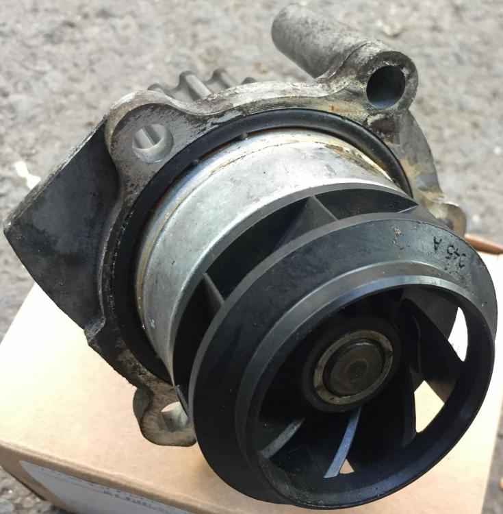 IMG_7779 (1231x1280).jpg