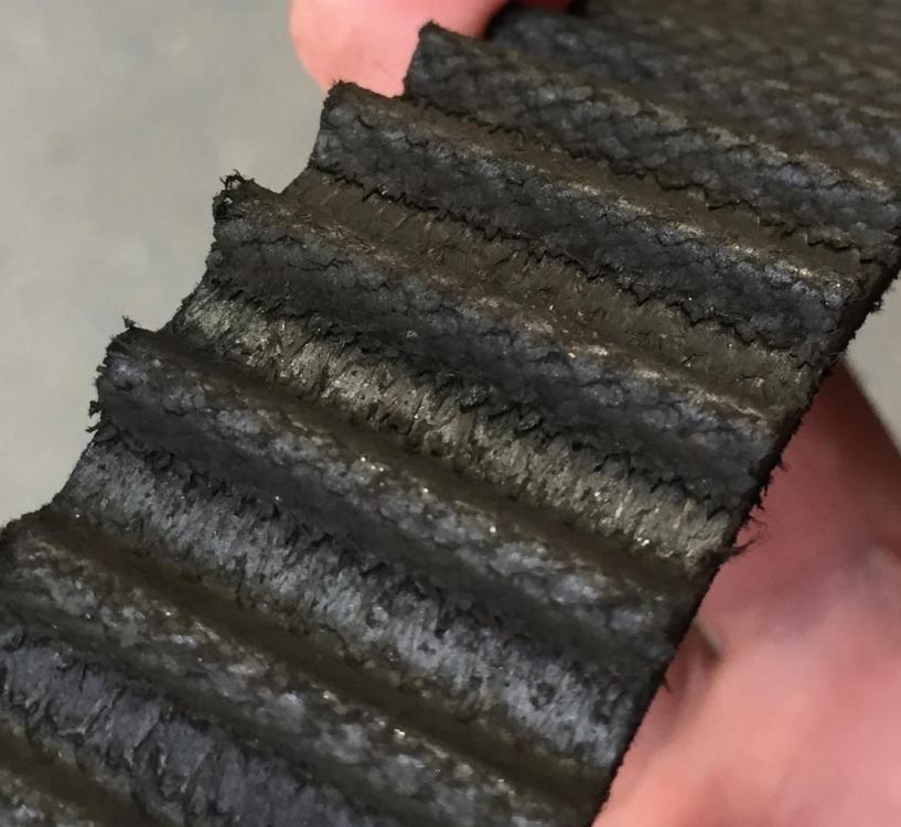 IMG_7773 (1280x1194).jpg