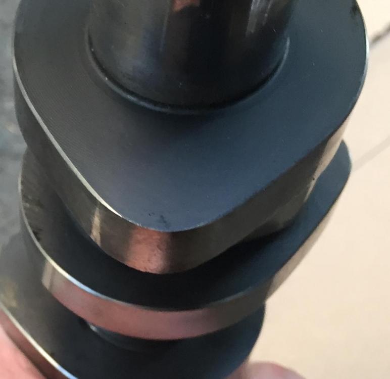 IMG_7794 (1024x996).jpg