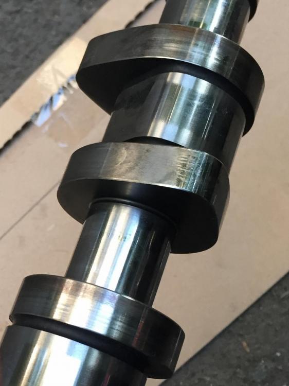 IMG_7797 (958x1280).jpg