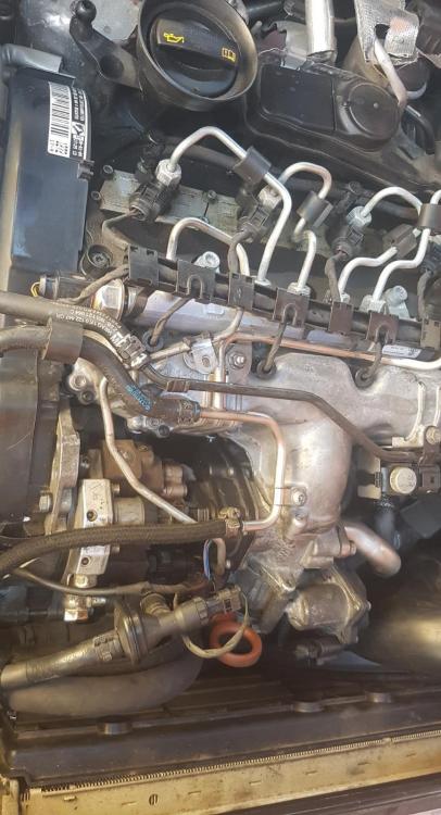 WhatsApp Image 2018-08-29 at 16.10.52.jpeg