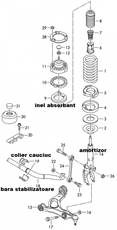 punte fata - arc - suspensie - amortizor.png