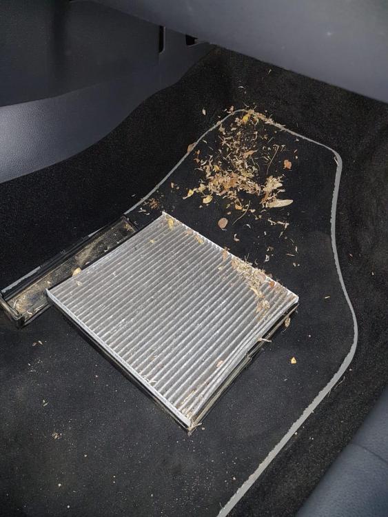 WhatsApp Image 2018-10-01 at 19.03.58.jpeg